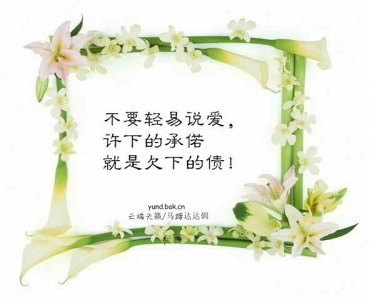 20080322111820399.jpg